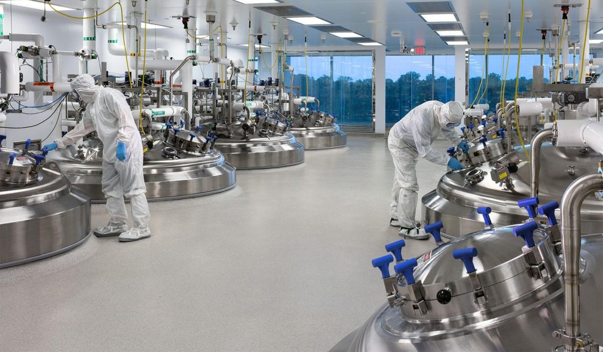 Stainless steel bioreactor vessels in a GMP biotech manufacturing suite